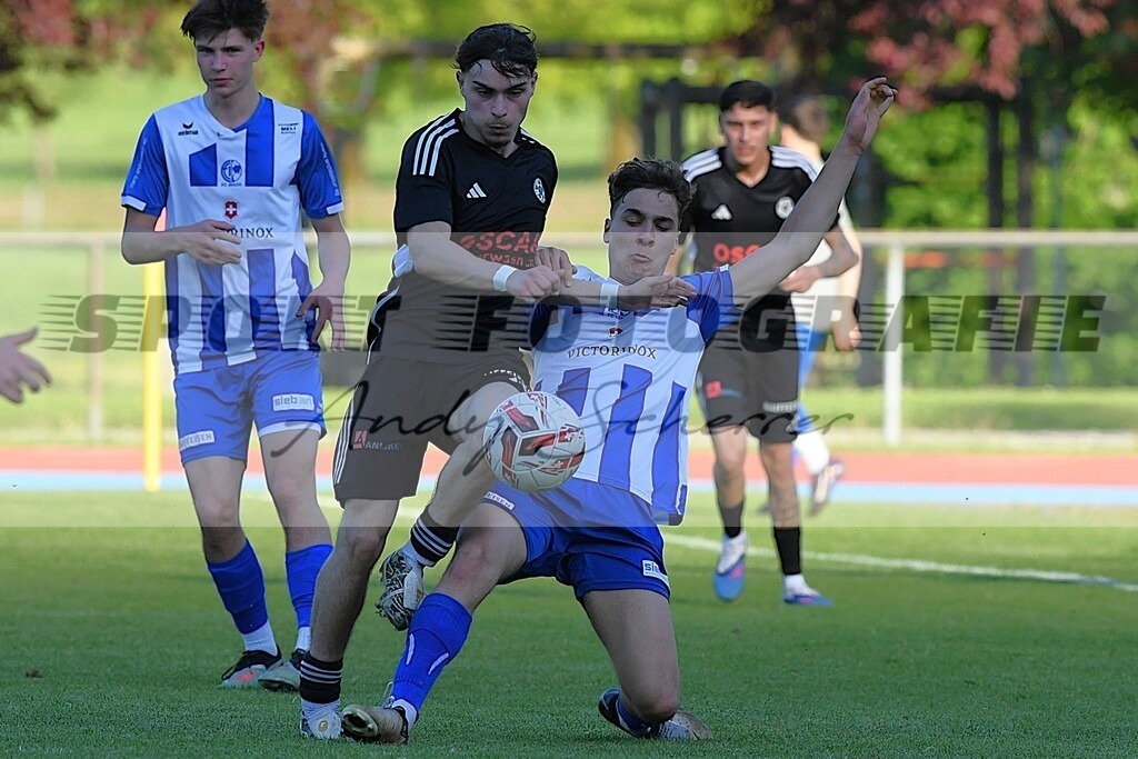 aaaaaDSC_8097 | Kaufen Sie Sportbilder im Onlineshop von Andy Scherrer Sportfotografie. Faszinierende Bilder von Sportevents aus der ganzen Schweiz. Fussball, Frauenfussball, Unihockey, Handball, Schwingen und weiteren Sportarten. - Realisiert mit Pictrs.com