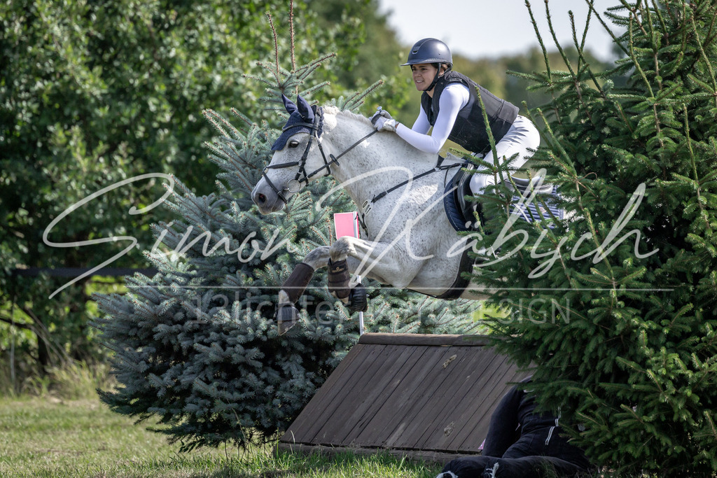 20250907-_3LI9813 | Tierfotografie Pferde, Hunde, Katzen, Haustiere.
Turnierfotografie Reitturniere, Reiten, Springreiten, Dressur in Hanau, dem Main-Kinzig-Kreis und dem Rhein-Main- Gebiet um Frankfurt