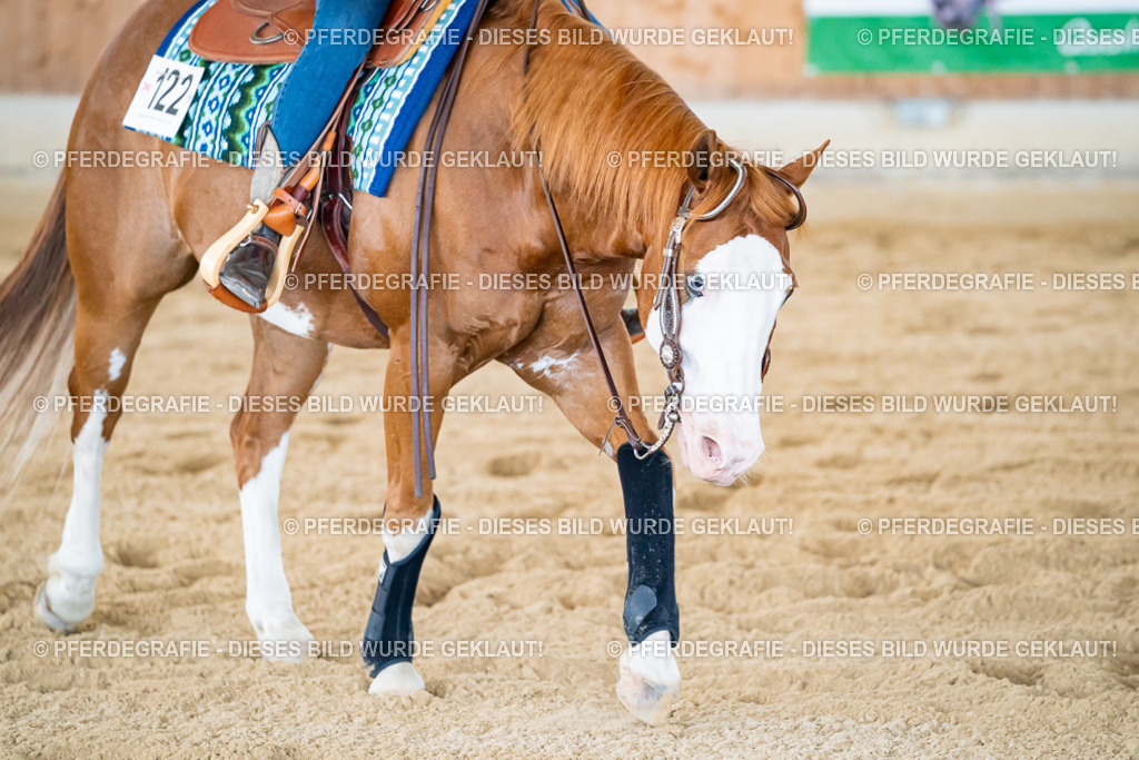 DSC04861 | Pferdegrafie