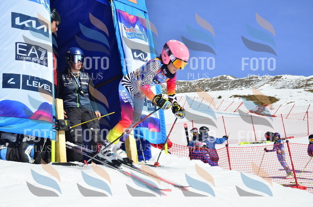 _ELE9947 | holidayphoto