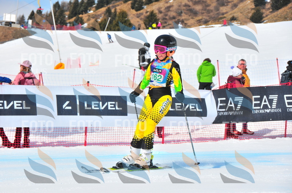 DSC_1441 | holidayphoto