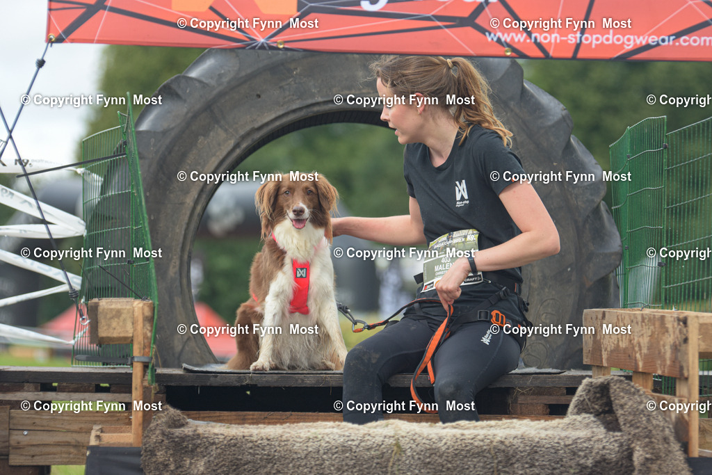 DSC_0894 | Hallo und herzlich Willkommen auf meiner Shop-Seite Fynn Most.

Ich wünsche Dir viel Spaß beim stöbern durch die Bilder, wenn Du Fragen hast oder Bilder vermisst, kannst du mir gerne eine Nachricht schreiben. - Realisiert mit Pictrs.com