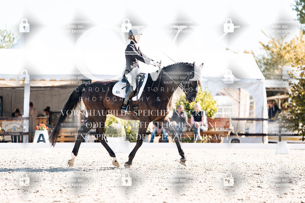 CK908876 | Turnierfotografie Pferdefotografie Trier Rheinland-Pfalz Pferdesport Reitsport Tierfotografie Sportfotografie Pferdevideo Pferdevideografie Equestrianvideography equestrianphotography  - Realisiert mit Pictrs.com