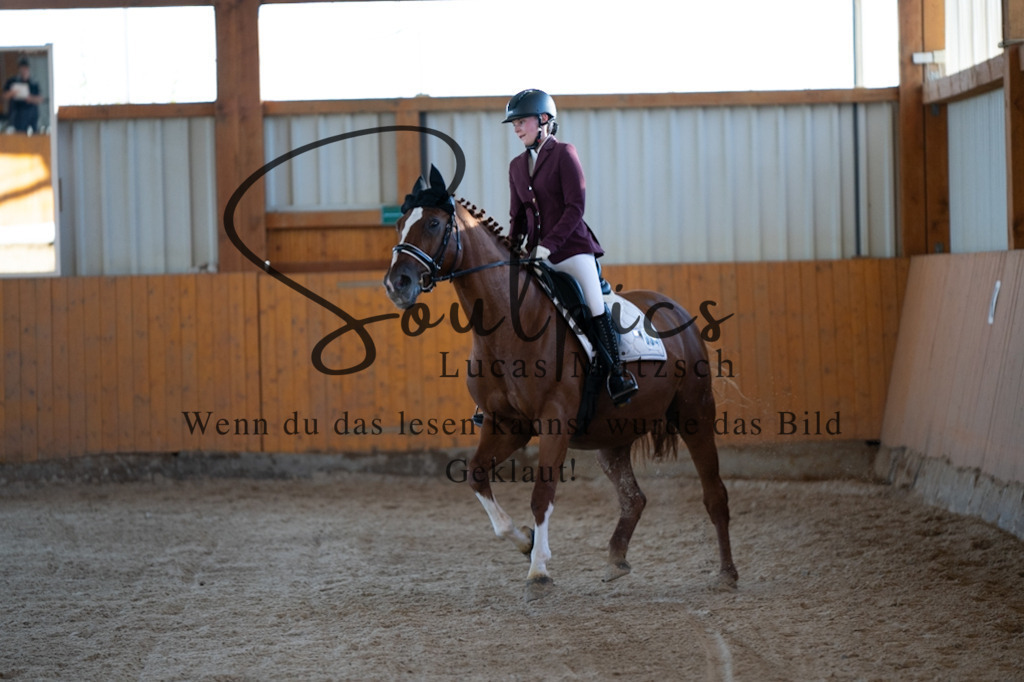 A7V01637 | Turnier/Reitfotograf