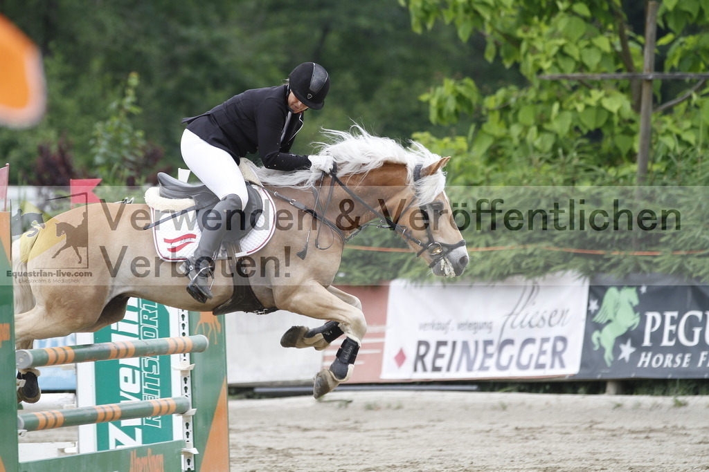 _MG_6519 | equestrian-live-com
