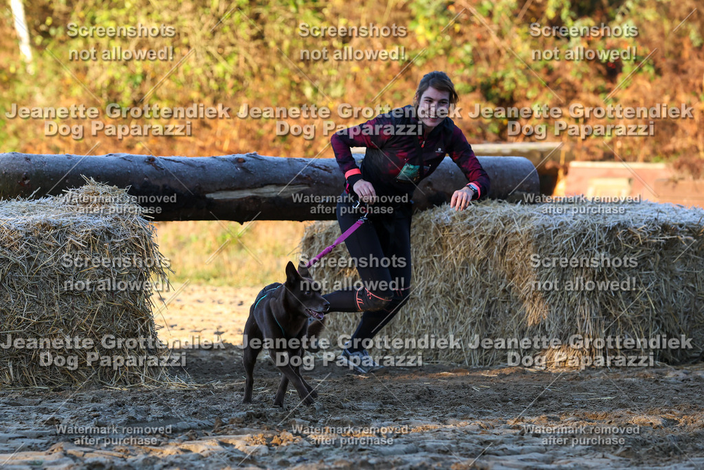 Dog Paparazzi - Strongdog 10-25-596 | Dog Paparazzi Jeanette Grottendiek Fotografie & Videografie - Realisiert mit Pictrs.com