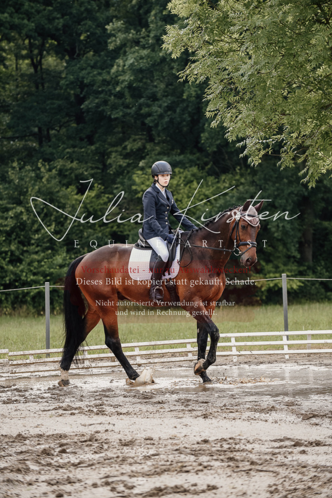 DSC_8579 | Pferde- und Turnierfotografie in Westsachsen. Pferdeportraits, Auftragszeichnungen und intuitive Kunst.