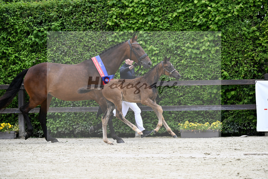 Kat-Nr. 4 Bonhoeffer x Danone_Zweckl_25240341 | hf-fotografie - Realisiert mit Pictrs.com