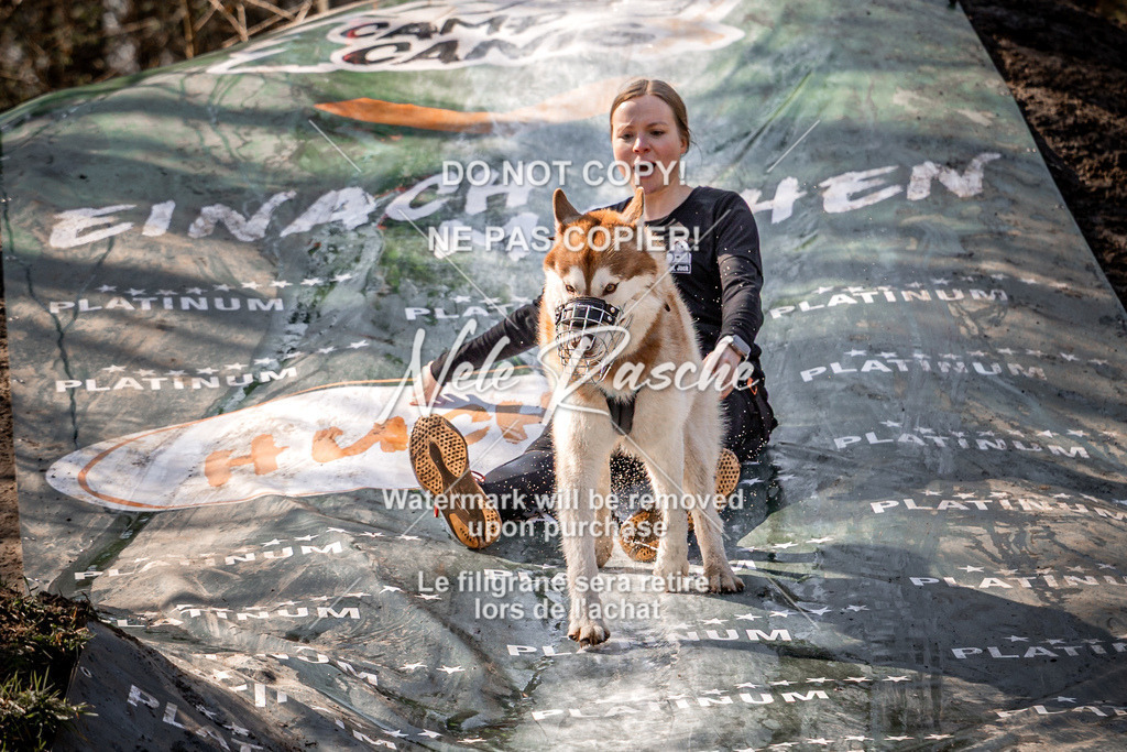 nelerasche_Hulsbeek_So1300-1330_108 | nelerasche