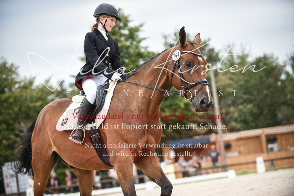 DSC_8034 | Pferde- und Turnierfotografie in Westsachsen. Pferdeportraits, Auftragszeichnungen und intuitive Kunst.
