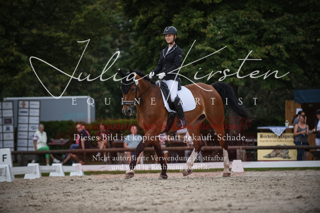 DSC_8278 | Pferde- und Turnierfotografie in Westsachsen. Pferdeportraits, Auftragszeichnungen und intuitive Kunst.