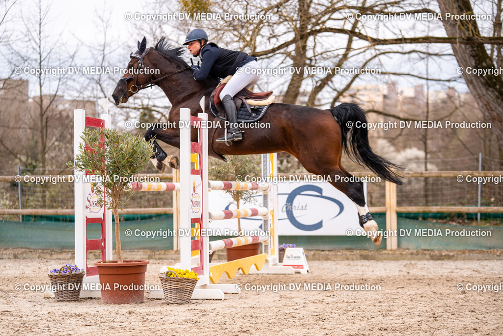 Kranichstein Tag 2-172 | dv-media-shop - Realisiert mit Pictrs.com