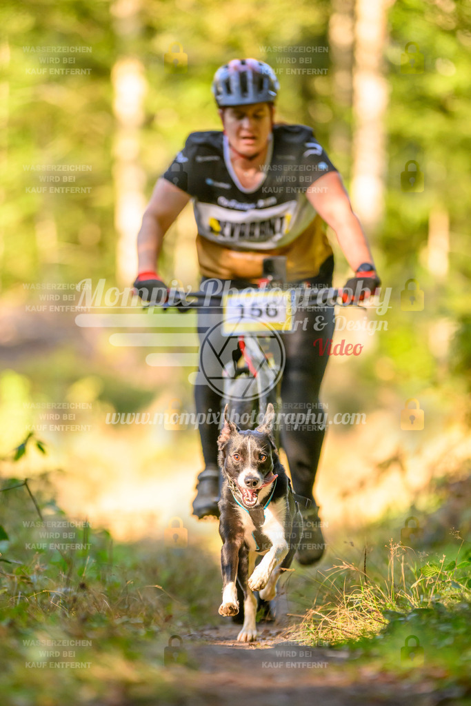 MompixPhotography_Yens2025_B3-81 | PayLife
