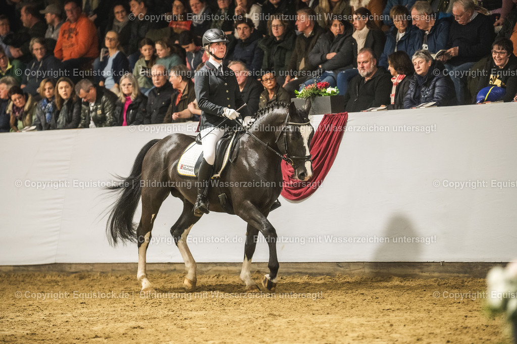 20240302_Hengstvorstellung_Marbach_TOMsPiC_0730-2 | equistock