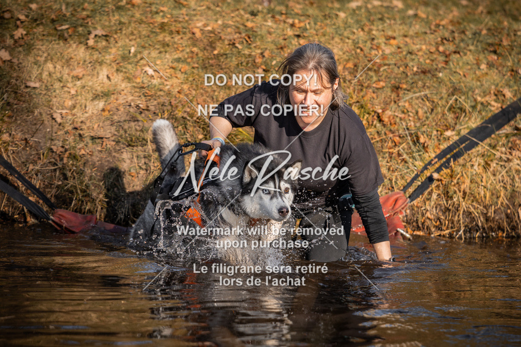 nelerasche_FS0900-1000_13 | nelerasche