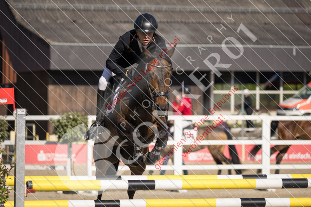 IMG_2936 | Sport-, Event- und Tierfotos in Profiqualität. Einfach auswählen, bestellen und herunterladen. Dein Moment – perfekt festgehalten.