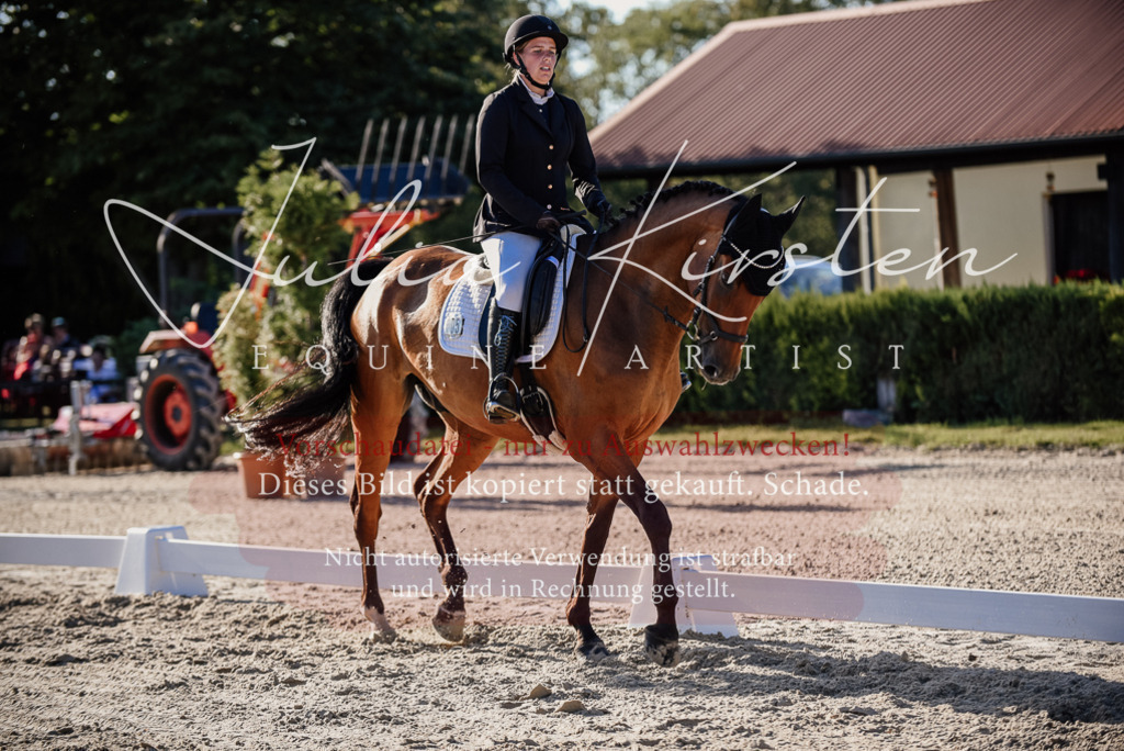 DSC_0673 | Pferde- und Turnierfotografie in Westsachsen. Pferdeportraits, Auftragszeichnungen und intuitive Kunst.