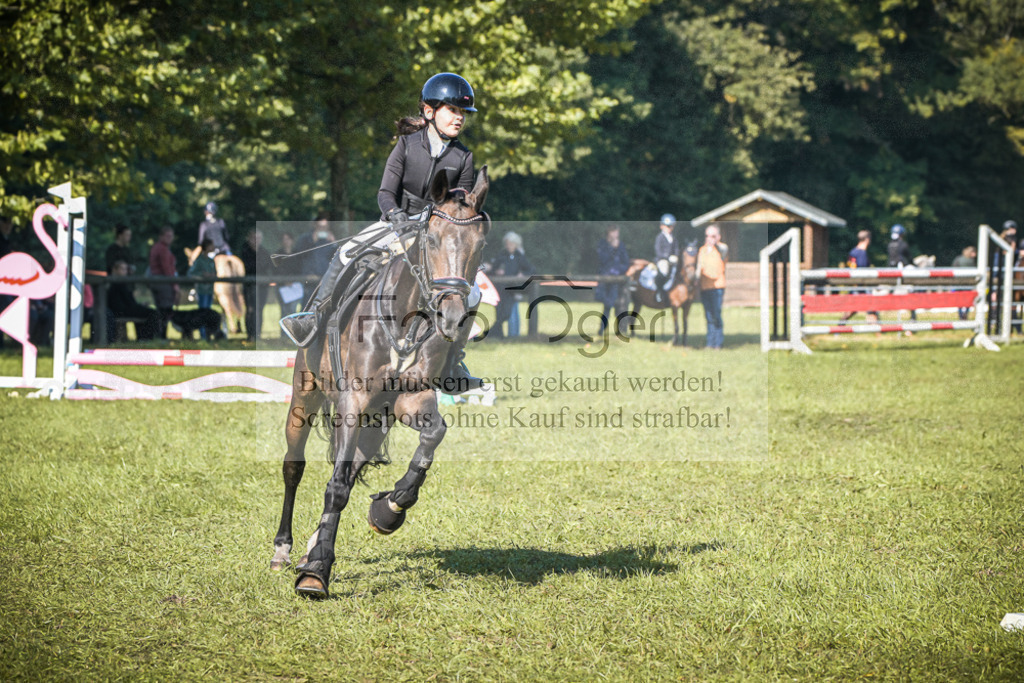 DOS_0867 | Entdecke hochwertige Reitturnierfotos von Foto Oger. Professionell, emotional und authentisch – jetzt Lieblingsmomente im Shop bestellen.Deutschlandweite Turnierfotografie. - Realisiert mit Pictrs.com