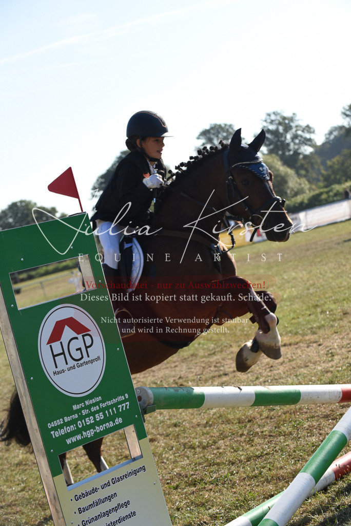 DSC_5606 | Pferde- und Turnierfotografie in Westsachsen. Pferdeportraits, Auftragszeichnungen und intuitive Kunst.