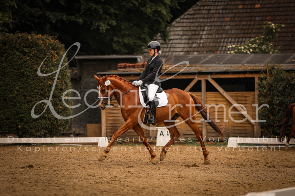 DoDrA00447 | Leoni Ertmer Photography - Realisiert mit Pictrs.com