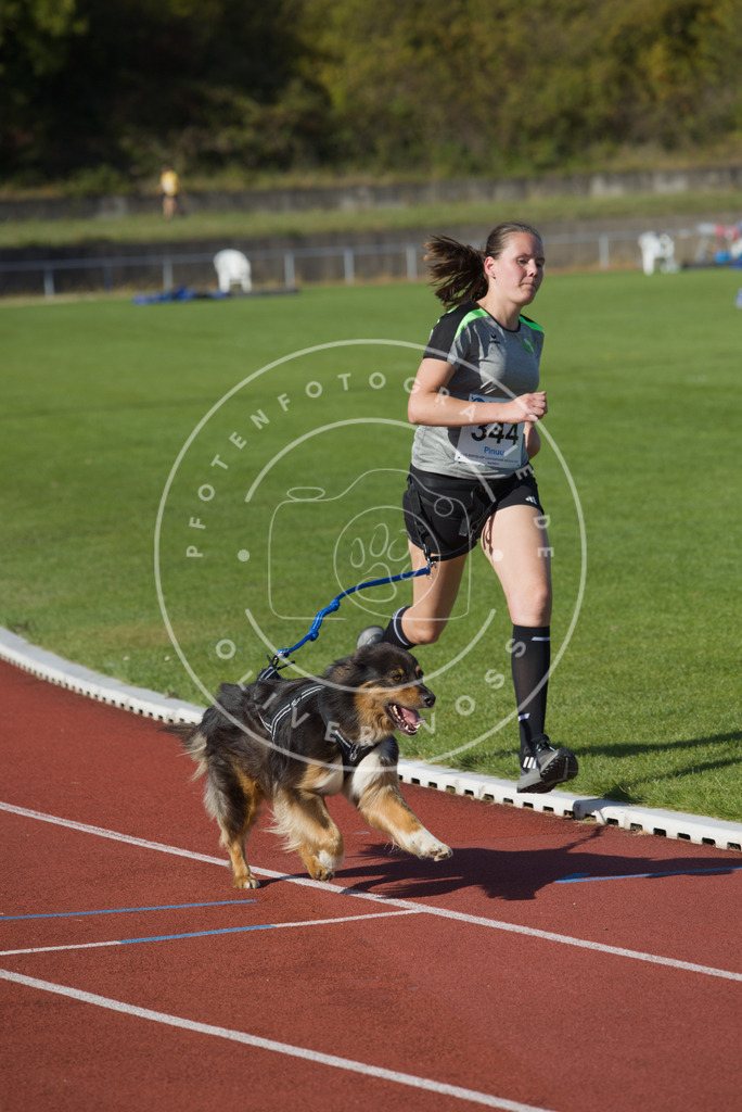 0L8A9225 | Hundefotografie, Tierfotograf, Pfotenfotografie, Fotoshooting Hund, Hunde Portrait, Hundesport, Hundeportraits, Heideshooting, Hunde, Sportfotograf, Hundefotograf, Turnierhundsport, THS,  - Realisiert mit Pictrs.com