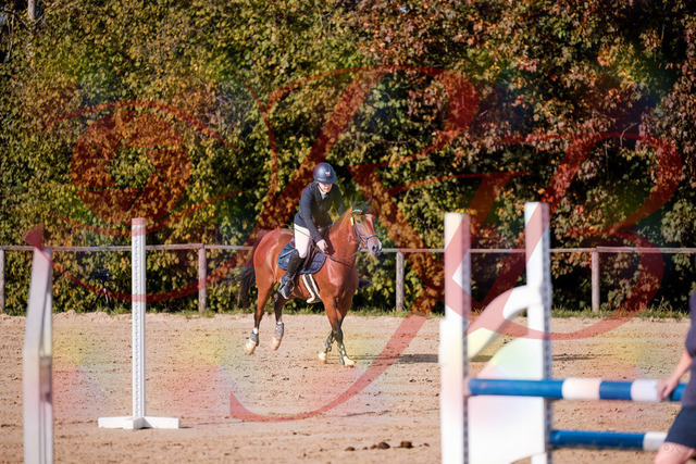 2026_10_03_Siefer-Hof_155402_Z81_74091475 | Professionelle Reitsport-, Turnier- und Eventfotografie von Robert Broda. Galerien mit ausgewählten und bearbeiteten Bildern direkt online ansehen und bestellen.