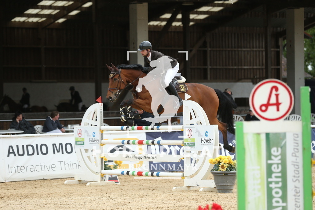 DL2Q3282 | Willkommen bei Brunnmayr - Design & Fotografie – Ihrem Spezialisten für Reitturniere und Pferdeveranstaltungen in Oberösterreich, Salzburg und Bayern! Seit über 17 Jahren sind wir leidenschaftlich dabei.