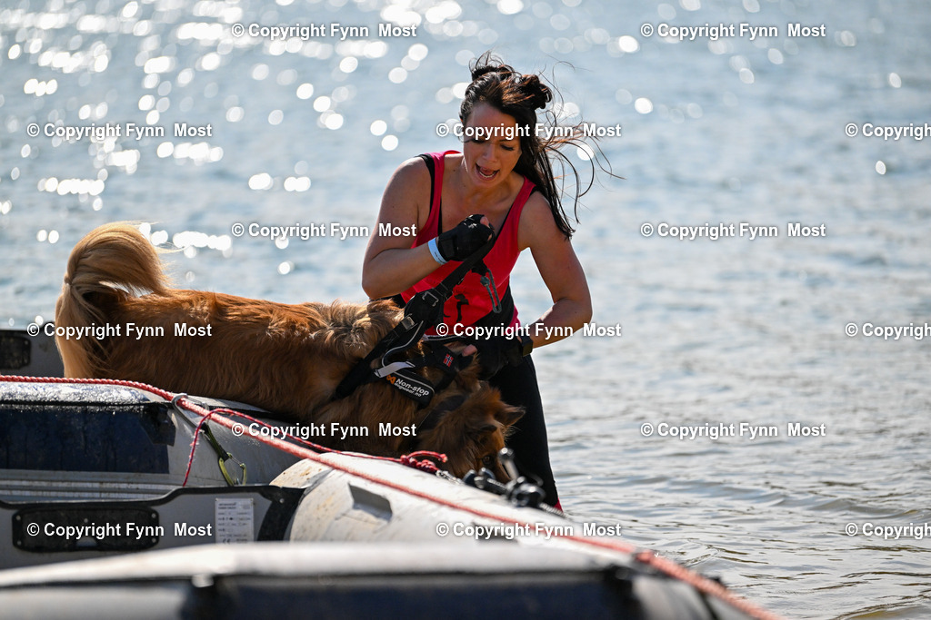 DSC_5137 | Hallo und herzlich Willkommen auf meiner Shop-Seite Fynn Most.

Ich wünsche Dir viel Spaß beim stöbern durch die Bilder, wenn Du Fragen hast oder Bilder vermisst, kannst du mir gerne eine Nachricht schreiben. - Realisiert mit Pictrs.com