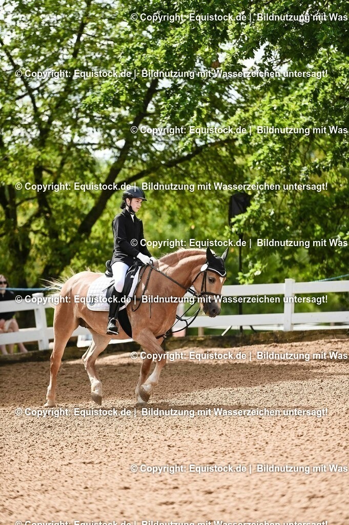 20230716_10-1_Reiter-WB Schritt - Trab - Galopp_0203 | equistock