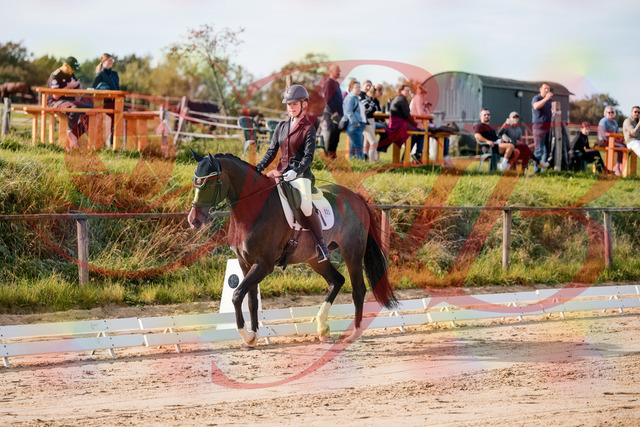 2026_10_03_Siefer-Hof_113254_Z63_19394195 | Professionelle Reitsport-, Turnier- und Eventfotografie von Robert Broda. Galerien mit ausgewählten und bearbeiteten Bildern direkt online ansehen und bestellen.