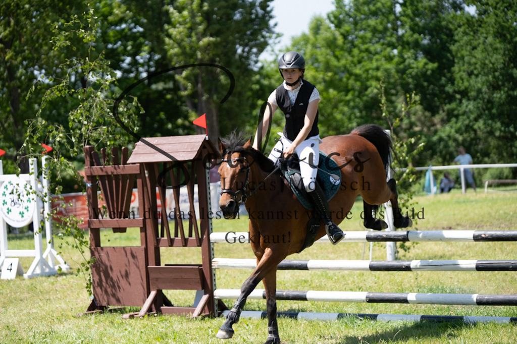 A7V06121 | Pferdefotograf