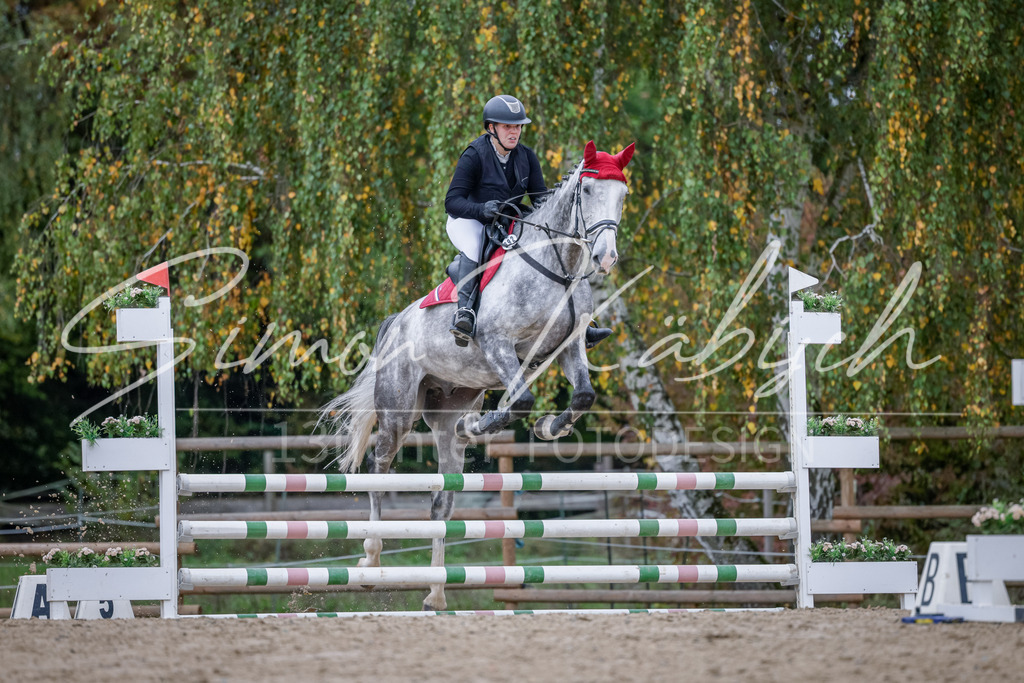 20251012-_3LI3653 | Tierfotografie Pferde, Hunde, Katzen, Haustiere.
Turnierfotografie Reitturniere, Reiten, Springreiten, Dressur in Hanau, dem Main-Kinzig-Kreis und dem Rhein-Main- Gebiet um Frankfurt