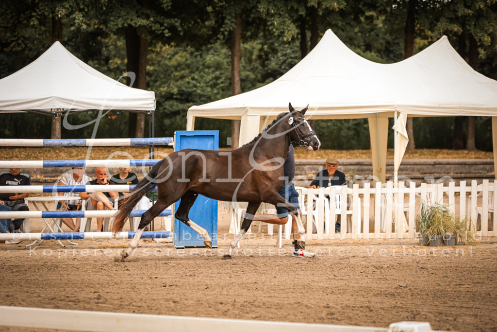 10.-12.Elite00050 | Leoni Ertmer Photography - Realisiert mit Pictrs.com