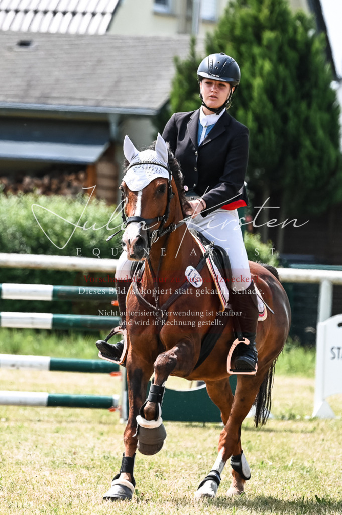 DSC_9450 | Pferde- und Turnierfotografie in Westsachsen. Pferdeportraits, Auftragszeichnungen und intuitive Kunst.