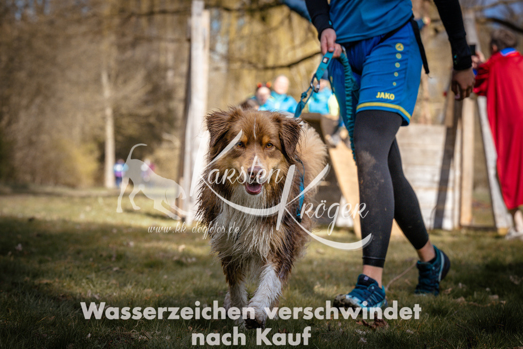 1038_ZZ98316 | kk-dogfotos