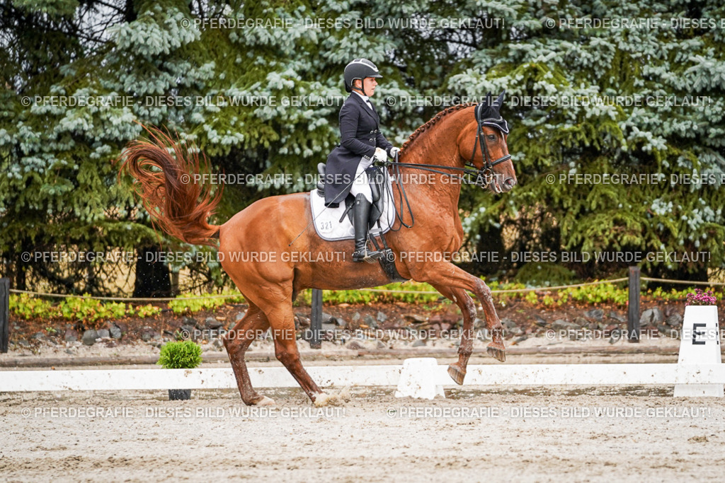 DSC09544 | Pferdegrafie