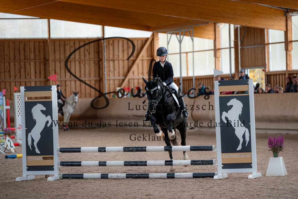 A7V02865 | Turnier/Reitfotograf