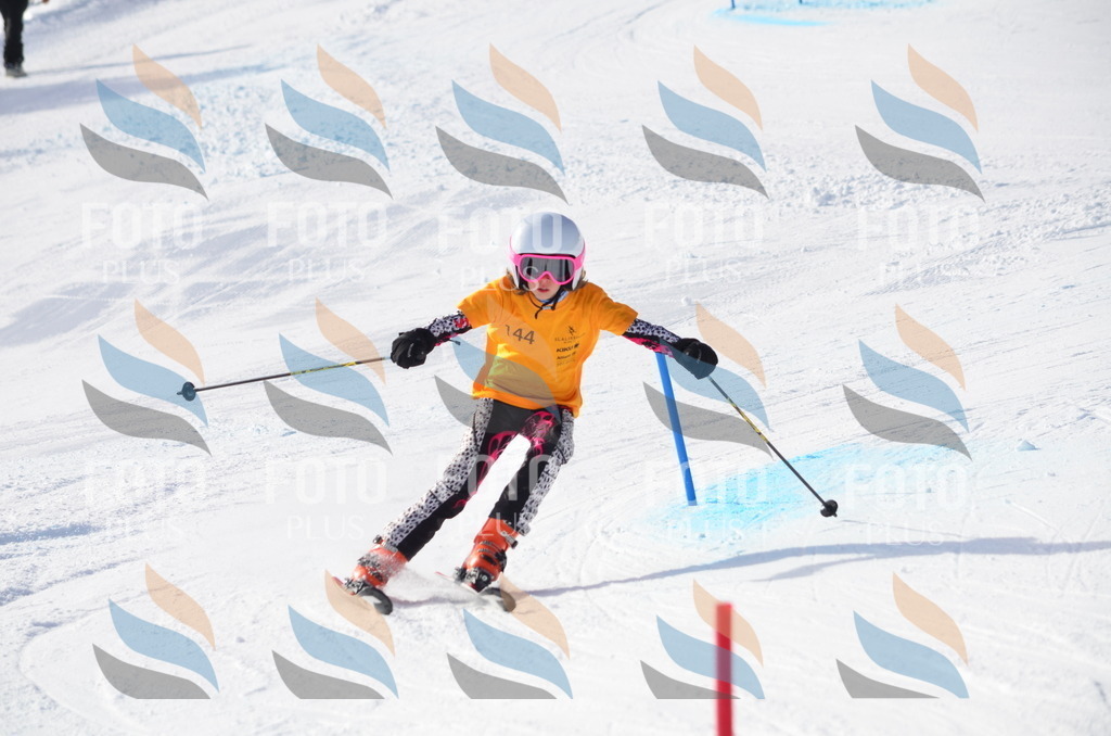 C7708 | holidayphoto