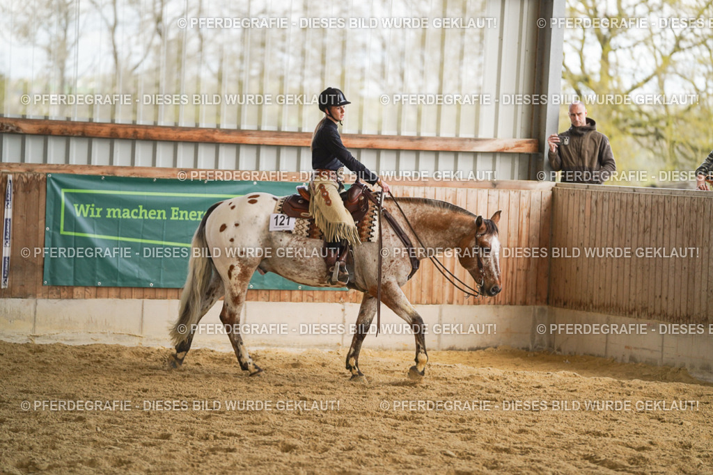 DSC08824 | Pferdegrafie