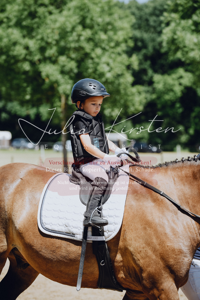 DSC_2389 | Pferde- und Turnierfotografie in Westsachsen. Pferdeportraits, Auftragszeichnungen und intuitive Kunst.