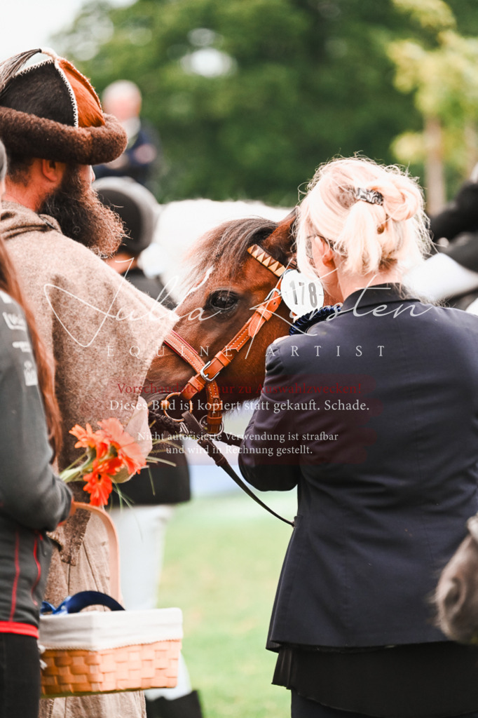 DSC_7460 | Pferde- und Turnierfotografie in Westsachsen. Pferdeportraits, Auftragszeichnungen und intuitive Kunst.