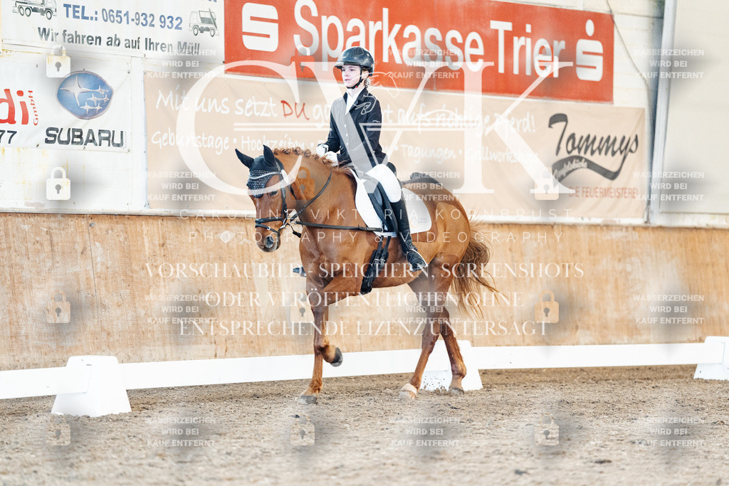 CK907907 | Turnierfotografie Pferdefotografie Trier Rheinland-Pfalz Pferdesport Reitsport Tierfotografie Sportfotografie Pferdevideo Pferdevideografie Equestrianvideography equestrianphotography  - Realized with Pictrs.com