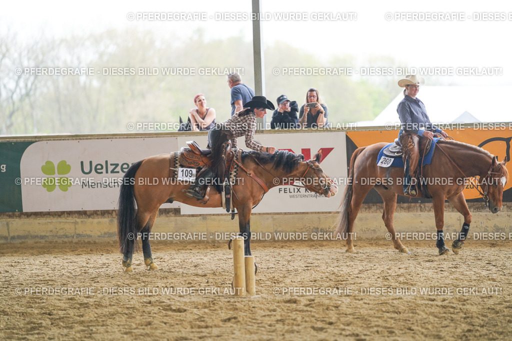 DSC05488 | Pferdegrafie