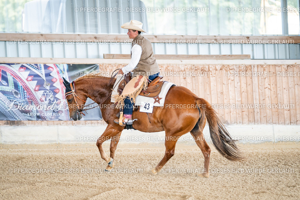 DSC01672 | Pferdegrafie