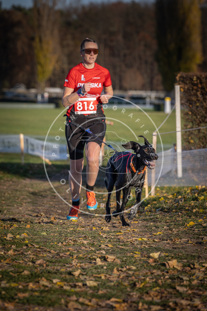 CaniXpix_DV3A3196 | Hundefotografie, Tierfotograf, Pfotenfotografie, Fotoshooting Hund, Hunde Portrait, Hundesport, Hundeportraits, Heideshooting, Hunde, Sportfotograf, Hundefotograf, Turnierhundsport, THS,  - Realisiert mit Pictrs.com