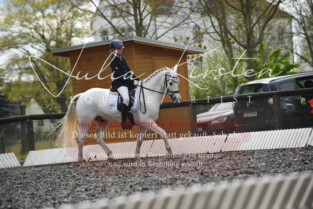 20230513_JK-Röhrsdorf-16-349 | Pferde- und Turnierfotografie in Westsachsen. Pferdeportraits, Auftragszeichnungen und intuitive Kunst.