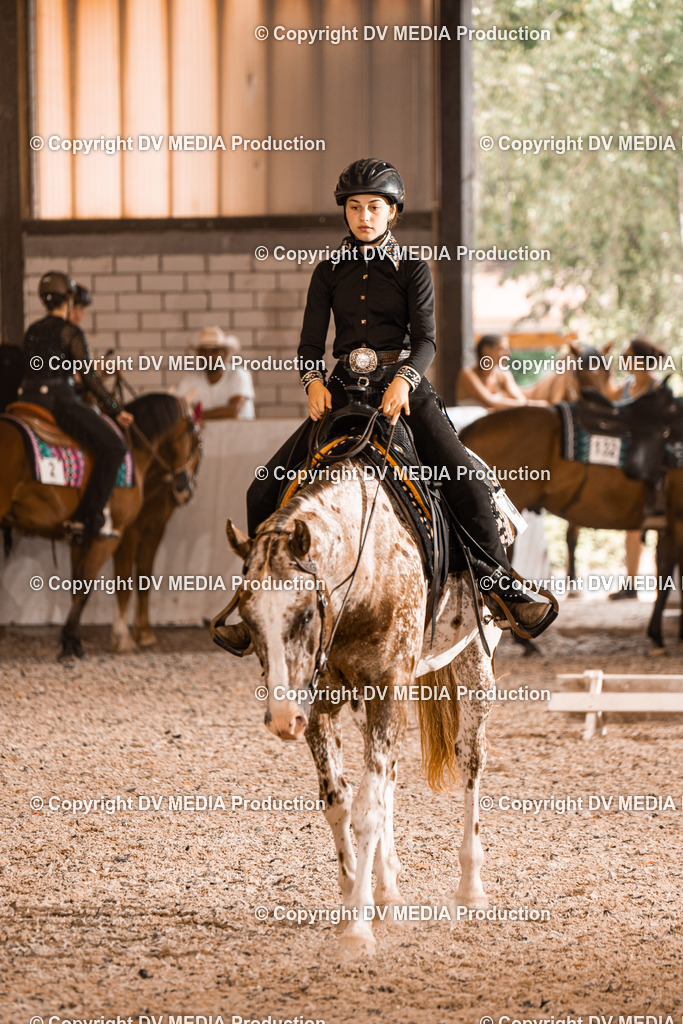 ZH100770 | dv-media-shop - Realisiert mit Pictrs.com