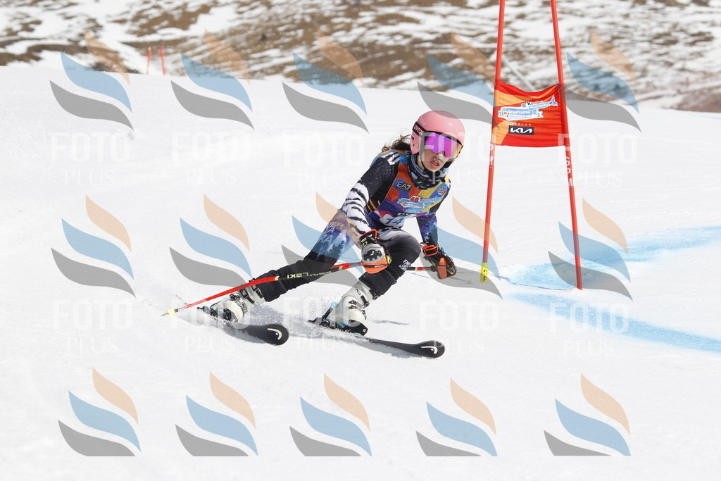 _U3G1037 | holidayphoto