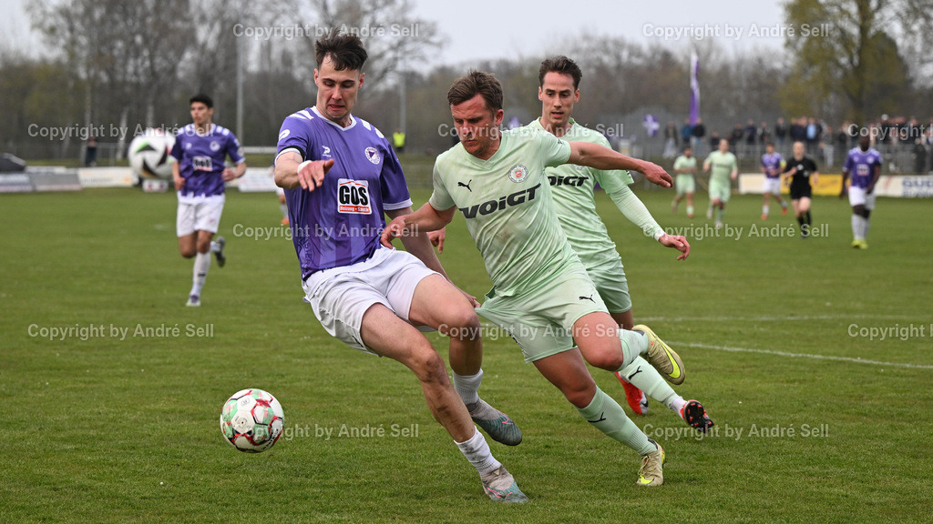 VfR Neumünster (lila) vs PSV Neumünster (grün) | Nick Neca (VfR #17) vs Jesper Tiedemann (PSV #11 hinten) &amp; Til Küffner (PSV #7) / Fußball-Oberliga Männer 2025/2026 / VfR Neumünster (lila) vs PSV Neumünster (grün) / Grümmi-Arena / Neumünster / 15.04.26 - Realisiert mit Pictrs.com