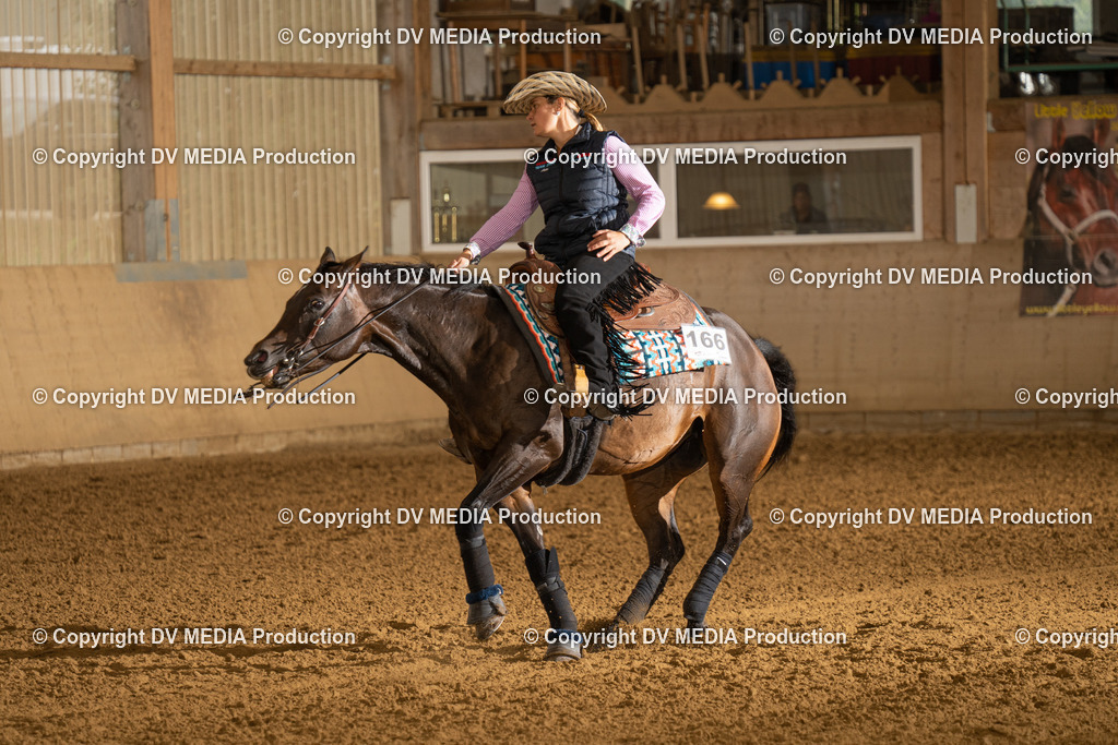 LAU00656 | dv-media-shop - Realisiert mit Pictrs.com